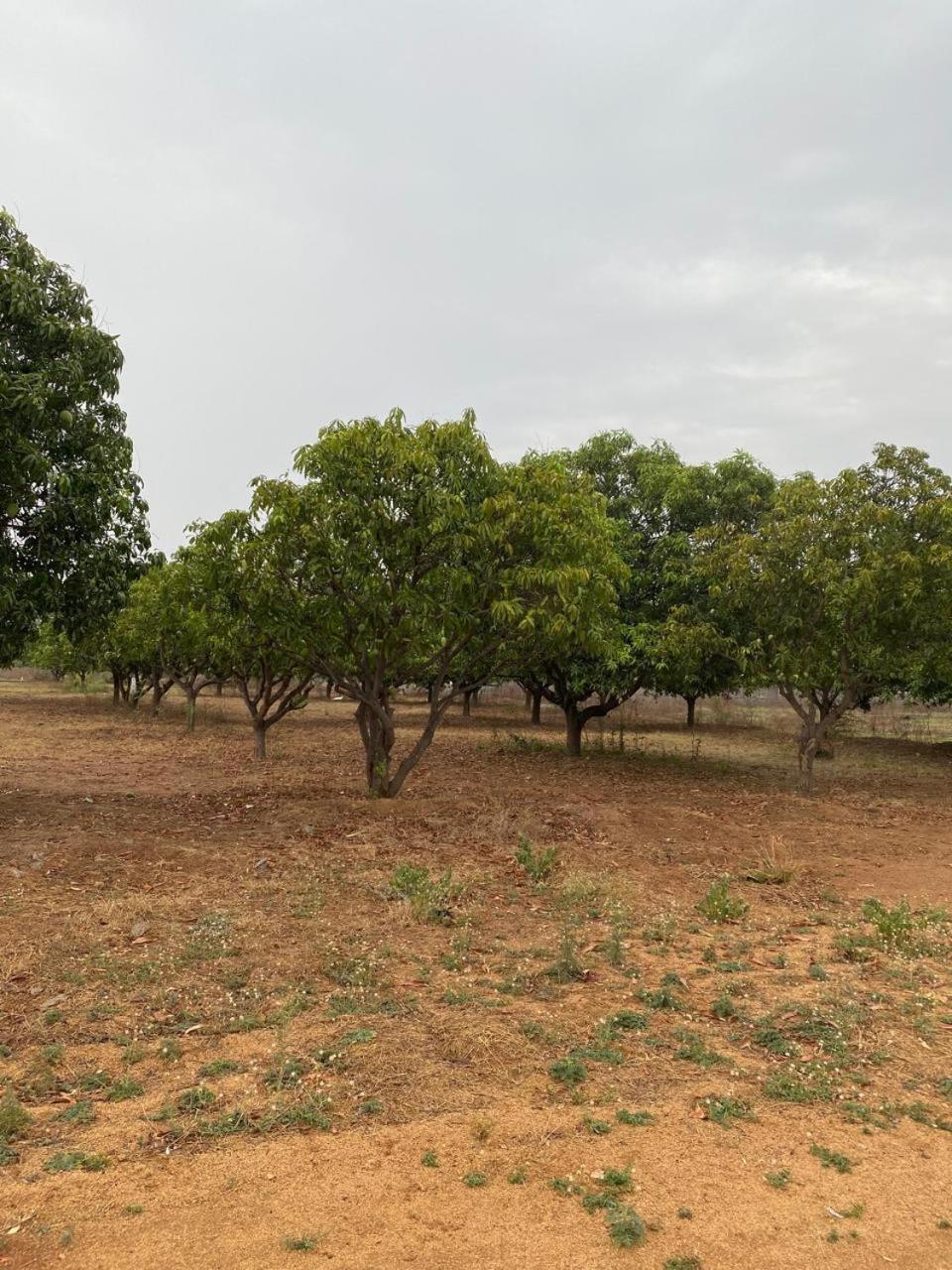 Pn Farm Villa Hyderabad Esterno foto