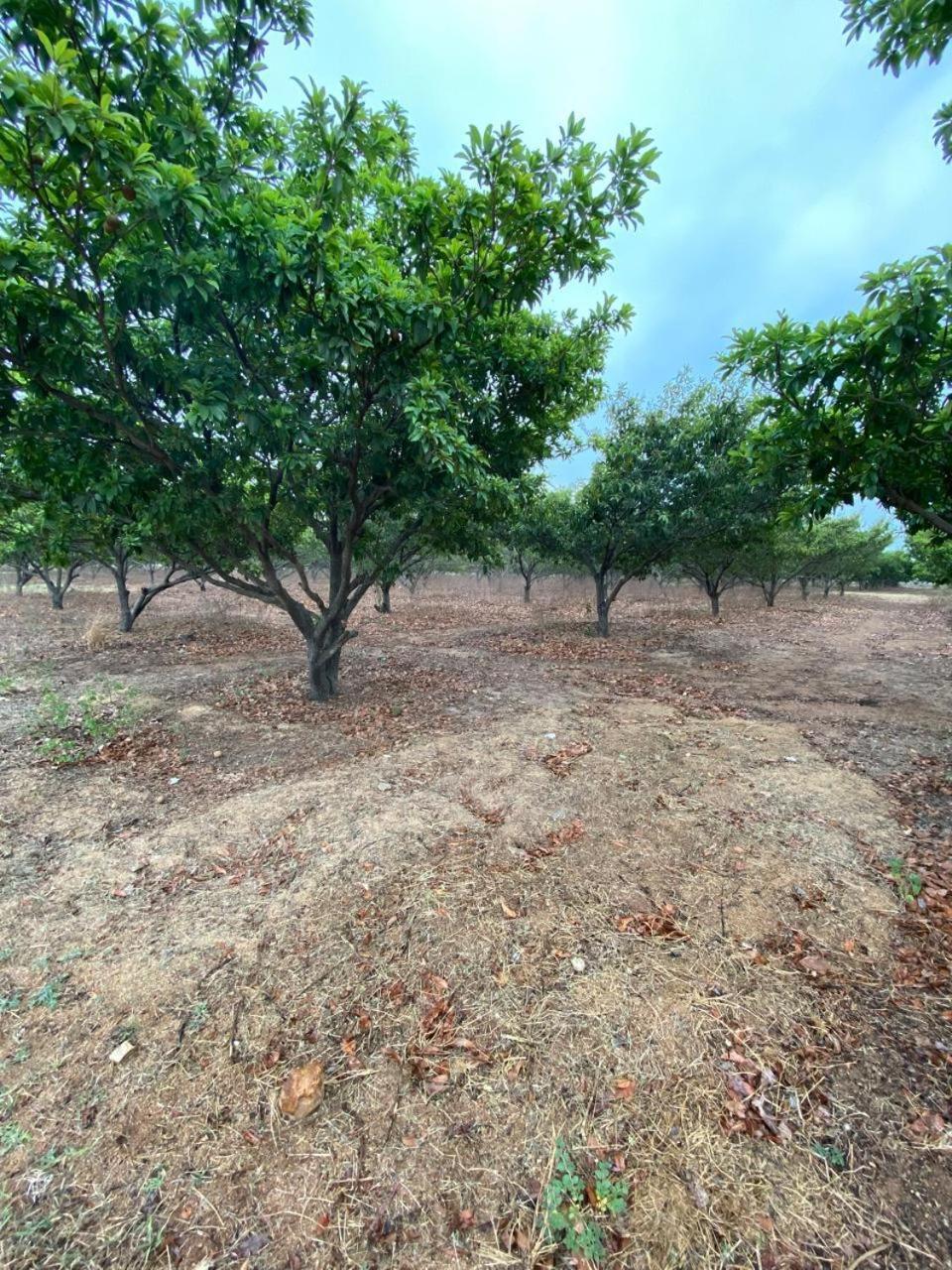 Pn Farm Villa Hyderabad Esterno foto