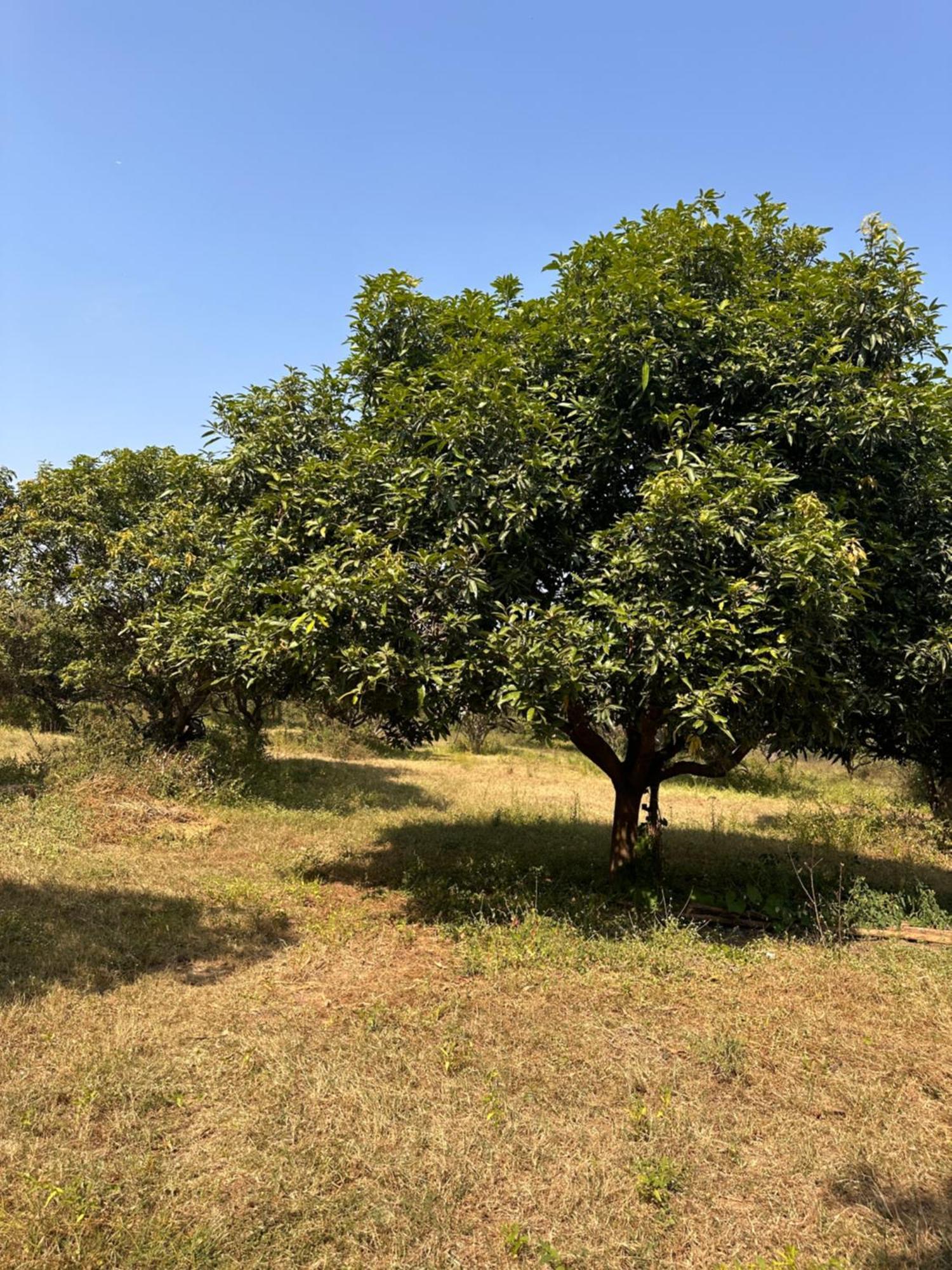 Pn Farm Villa Hyderabad Esterno foto